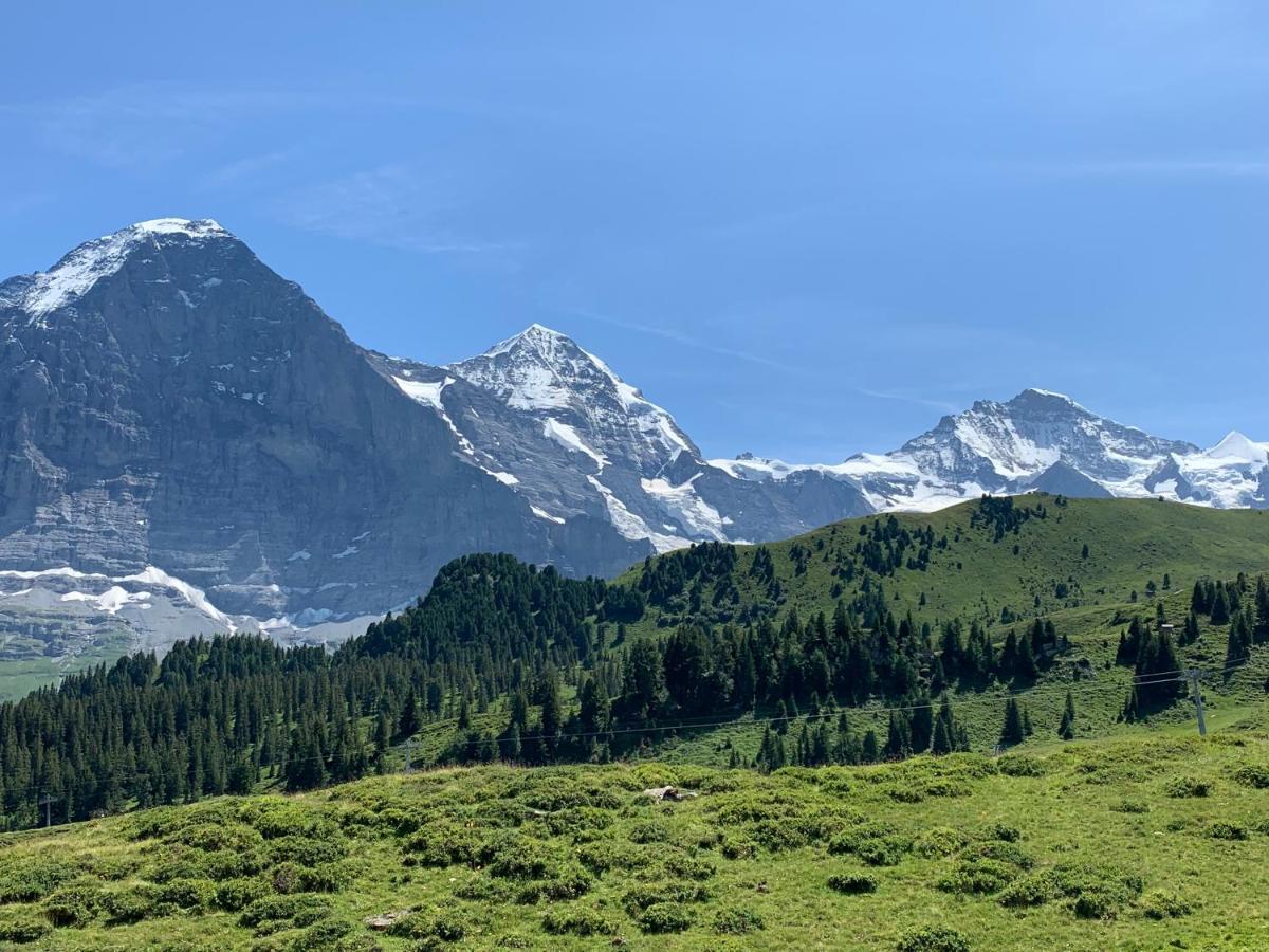 Appartamento Fluehblueemli Grindelwald Esterno foto