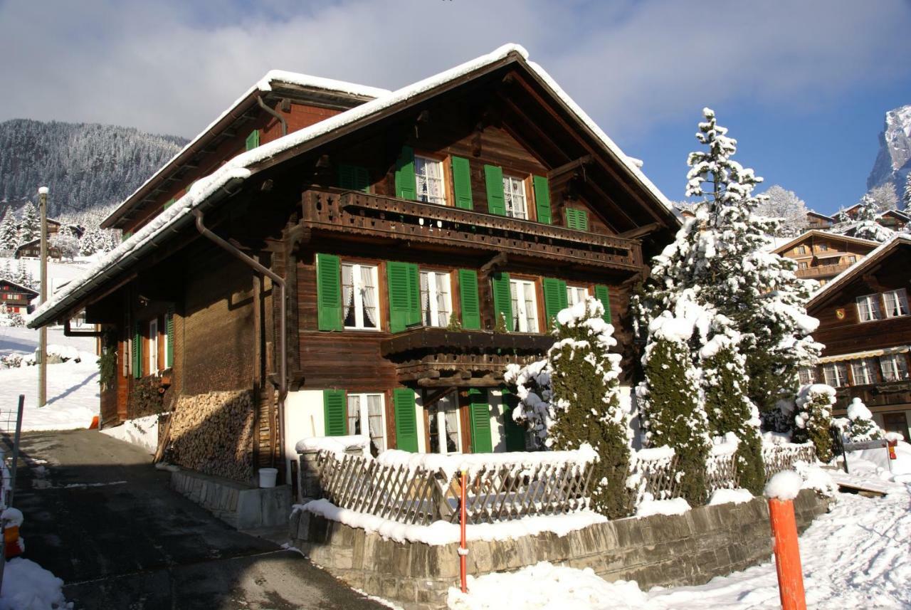Fluehbluemli Appartamento Grindelwald Esterno foto