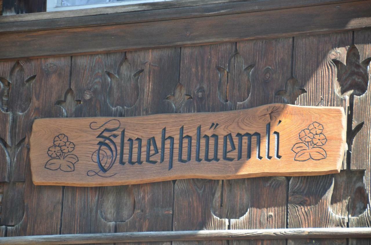 Appartamento Fluehblueemli Grindelwald Esterno foto
